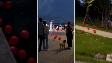 Video of balloons being released at Miami park sparks outrage – NBC 6 South Florida