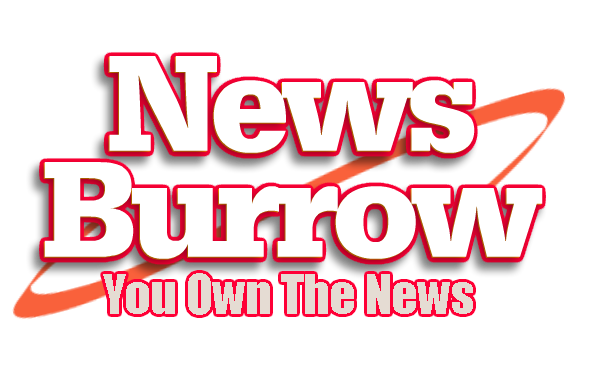 NewsBurrow Logo