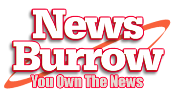 Newsburrow Logo 6 Boxed