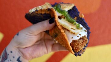 Little Bites: Halloween specials, meal deals and seasonal offerings | Flavor | San Antonio