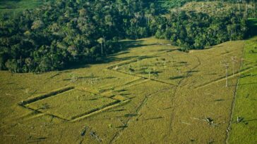 The Amazon may contain thousands of undiscovered ancient structures