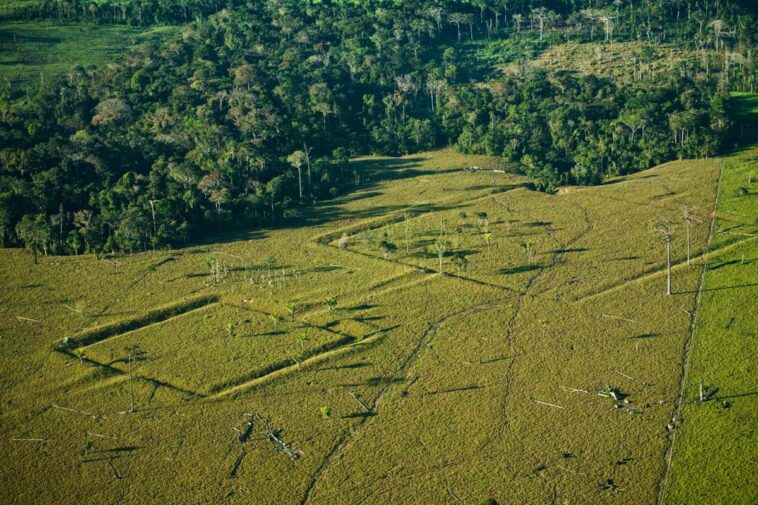 The Amazon may contain thousands of undiscovered ancient structures