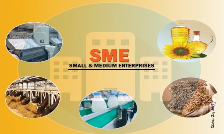 Punjab and Federal Authorities Launch SME Financing Schemes Pakistan to Boost Small Business Growth