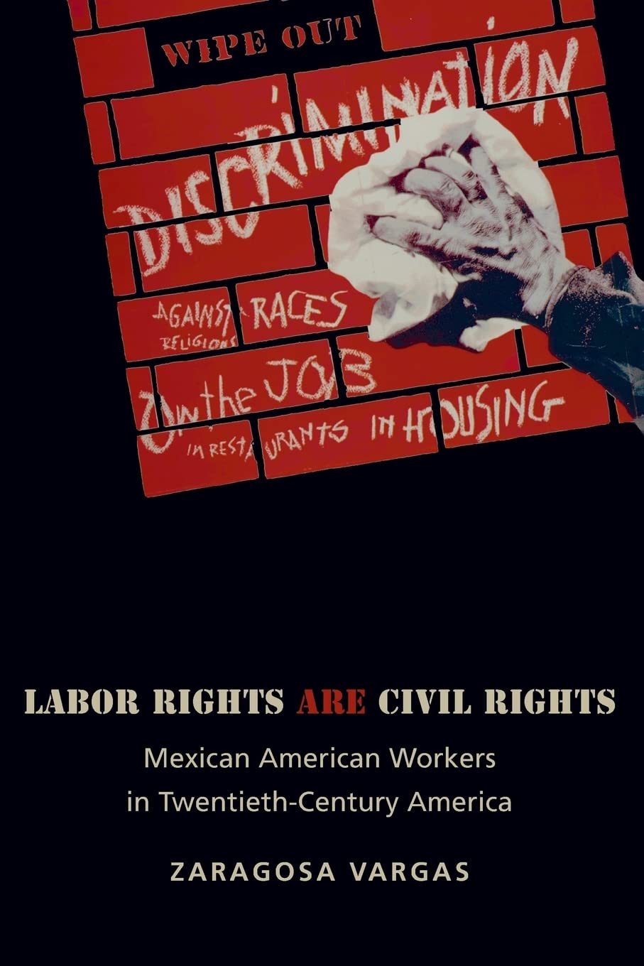 Labor Rights Are Civil Rights: Mexican American Workers In Twentieth-Century America (Politics And Society In Modern America, 52)