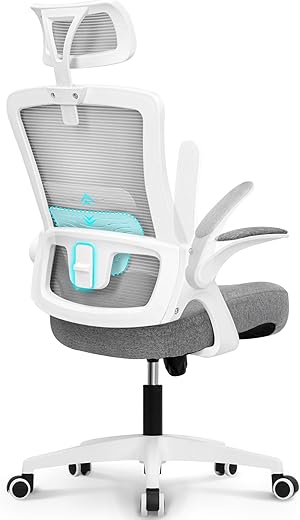 Neo Chair Dbs-H High Back Mesh Headrest Adjustable Height And Ergonomic Design Home Office Computer Desk Executive Lumbar Support Padded Flip-Up Armrest Swivel Chair (Grey)