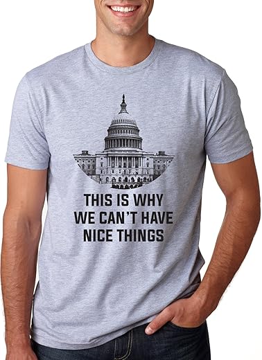 This Is Why We Can'T Have Nice Things T Shirt Funny Anti Capitol Political Tee Funny Mens Shirts For Politicians With Adult Humor Light Grey L